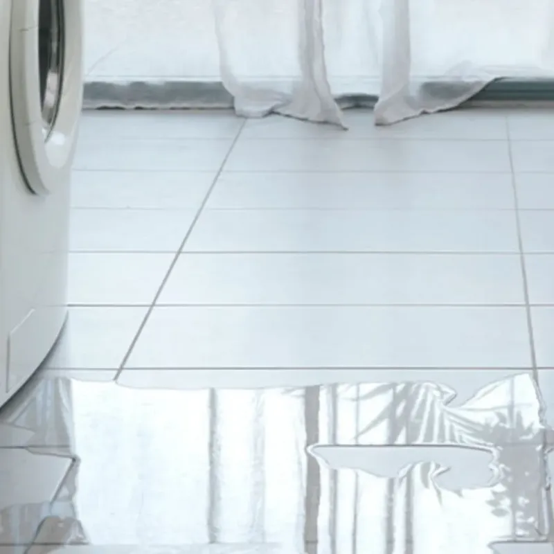 Appliance Leak Cleanup in Brownfield, TX