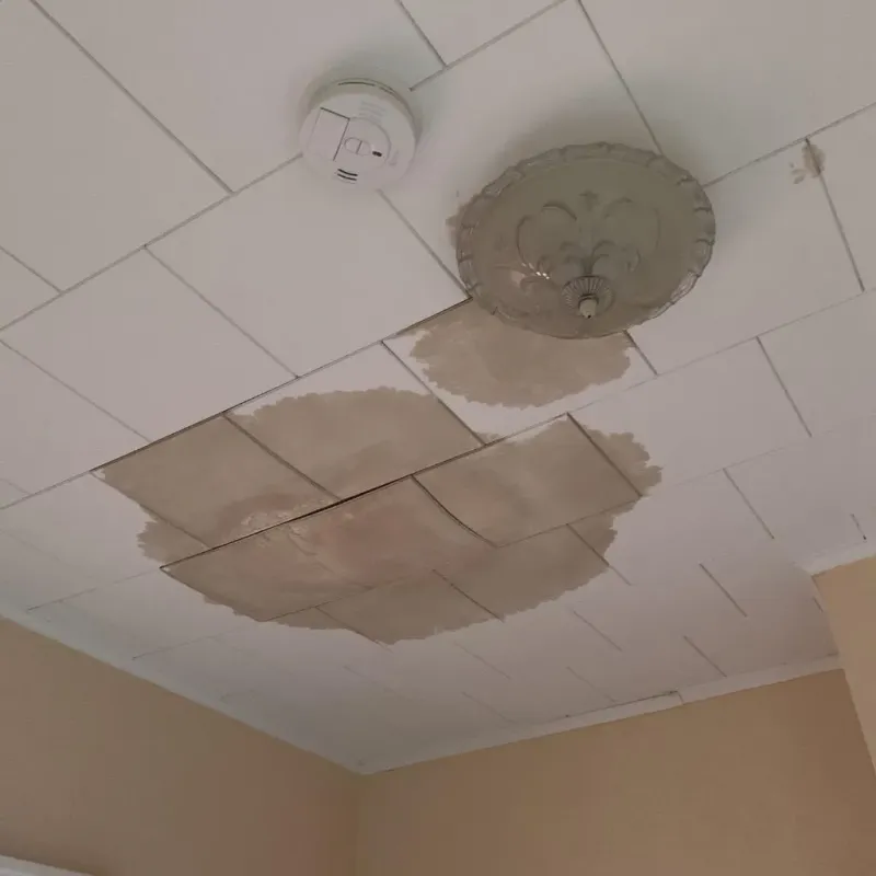 Ceiling Water Damage Repair in Brownfield, TX